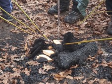 Co to tam jenom opékají...?